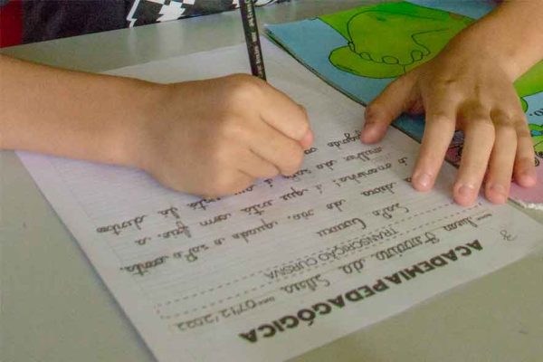 Interpretação e produção de textos
